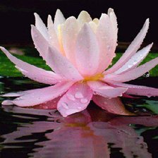 Схема вышивки «№83405»