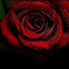 Схема вышивки «№83413»