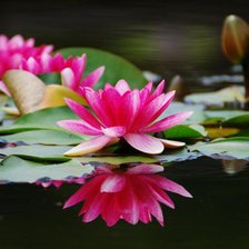 Схема вышивки «№83421»