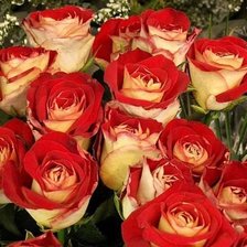 Схема вышивки «№83431»