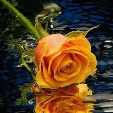 Схема вышивки «№83444»