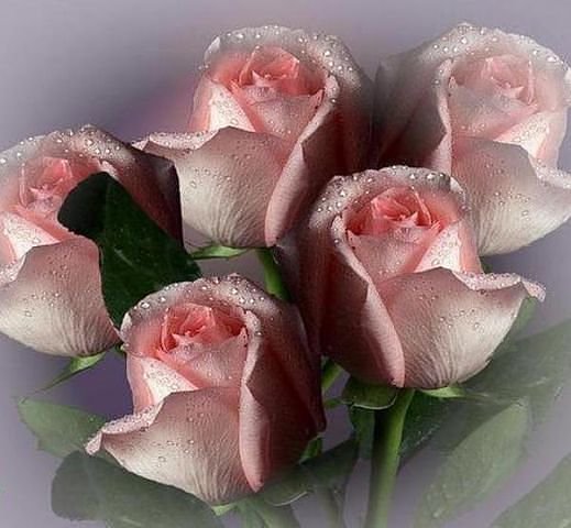 №83448 - оригинал