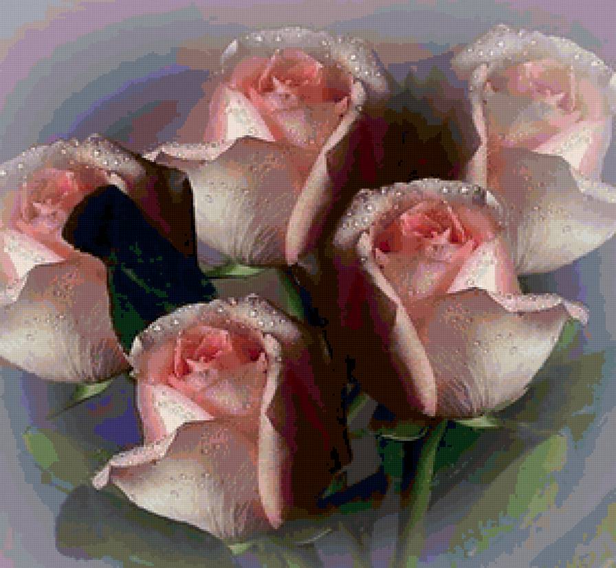 №83448 - предпросмотр