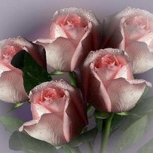 Схема вышивки «№83448»