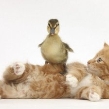 Схема вышивки «утенок и котенок»