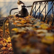 Схема вышивки «№83544»