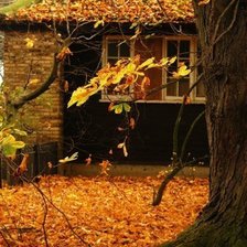 Схема вышивки «№83560»