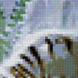 Предпросмотр схемы вышивки «Бенгальский тигр» (№83862)