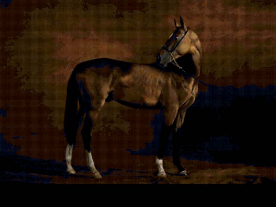 жеребец - кони, животные - предпросмотр