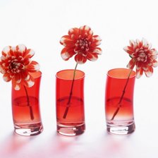 Схема вышивки «георгины»