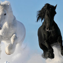 черное и белое