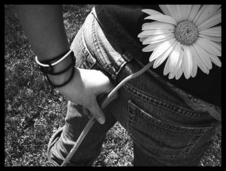 сюрприз - цветы, подарок - оригинал