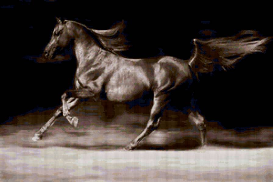 конь 8 - кони, животные - предпросмотр