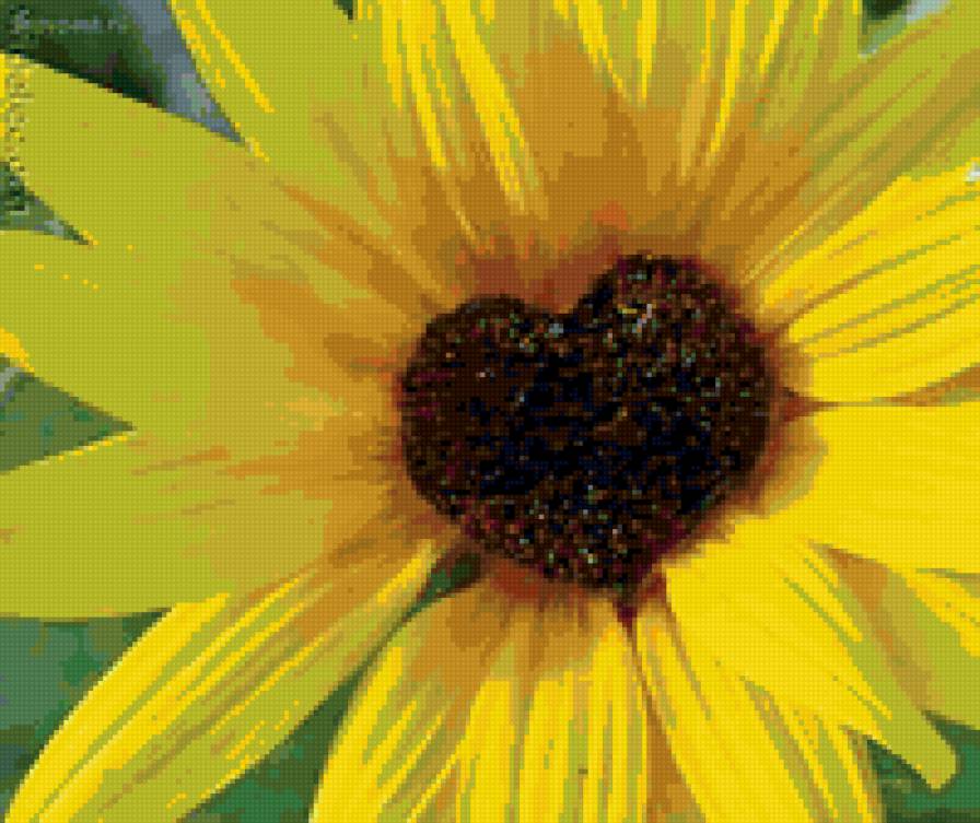 сердце - цветы - предпросмотр