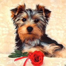 Схема вышивки «№84269»