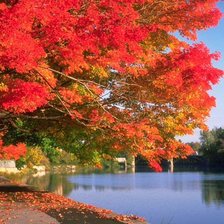 Схема вышивки «краски осени»