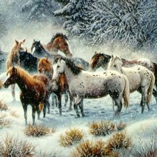 Лошади на снегу