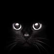 Схема вышивки «кошка»