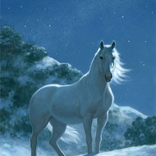 Схема вышивки «Звездная ночь»