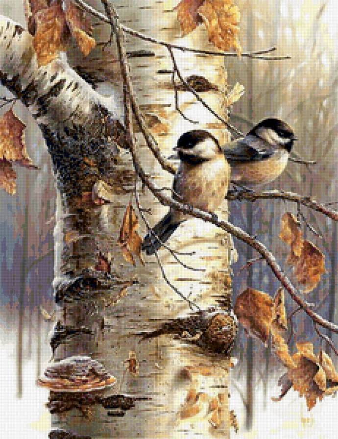 воробьи на березе - береза, воробьи - предпросмотр