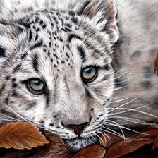 Схема вышивки «№84571»