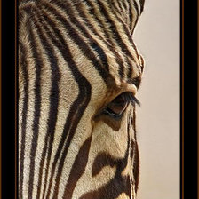 Схема вышивки «№84575»