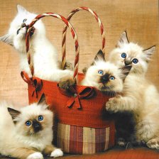 Схема вышивки «Котята в корзинке»