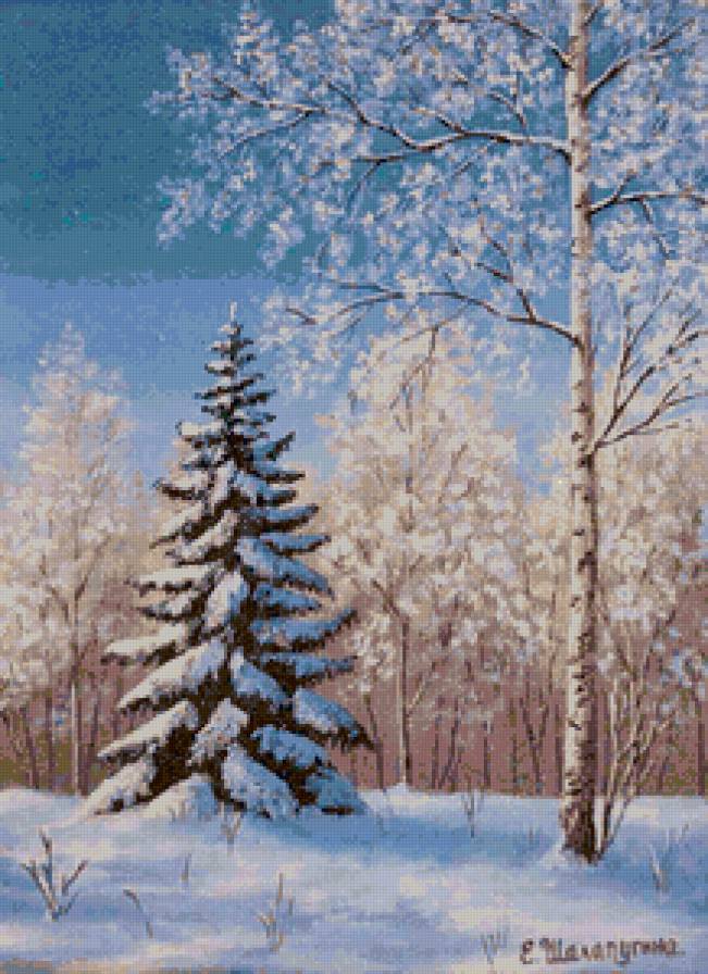 ель - природа, зима, лес, пейзаж - предпросмотр