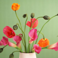 Схема вышивки «маки»