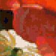 Предпросмотр схемы вышивки «Маки» (№84764)