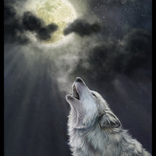 Схема вышивки «Одинокий волк»