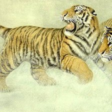 Схема вышивки «Тигры»