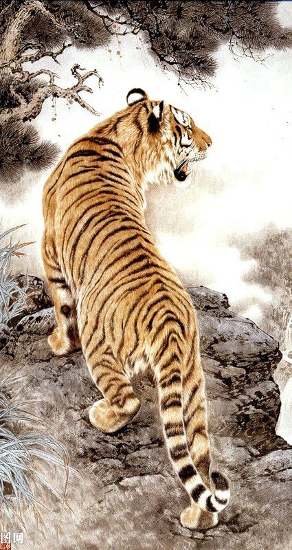 Тигр - животные, дикие хищные кошки, гохуа, тигр, кошки - оригинал