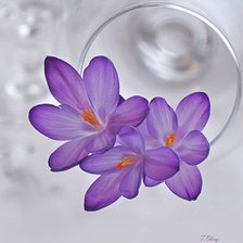 Схема вышивки «1234»