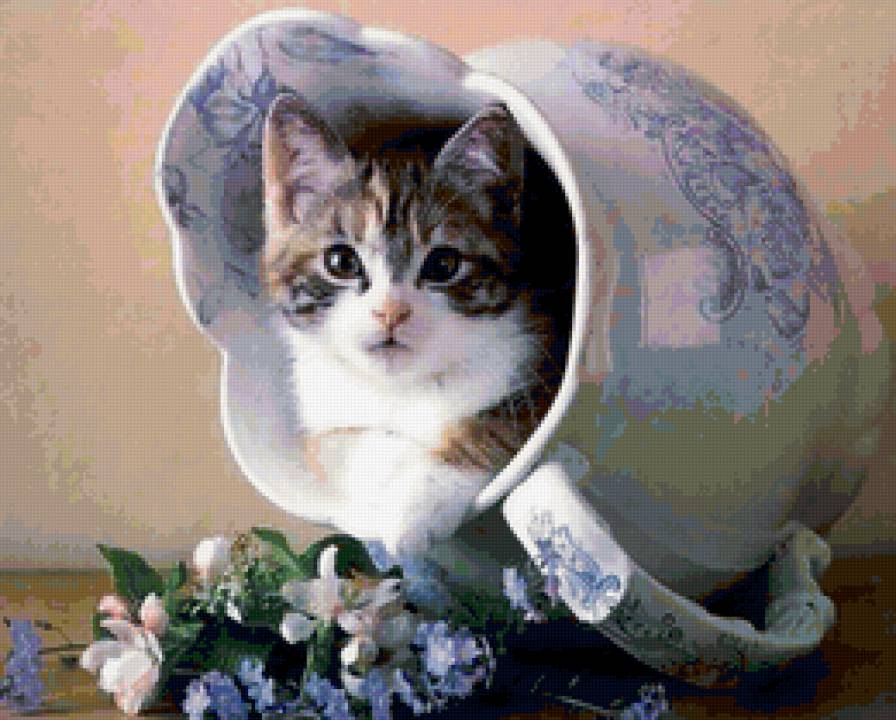 Упс - цветы, котенок, животные, кошка - предпросмотр