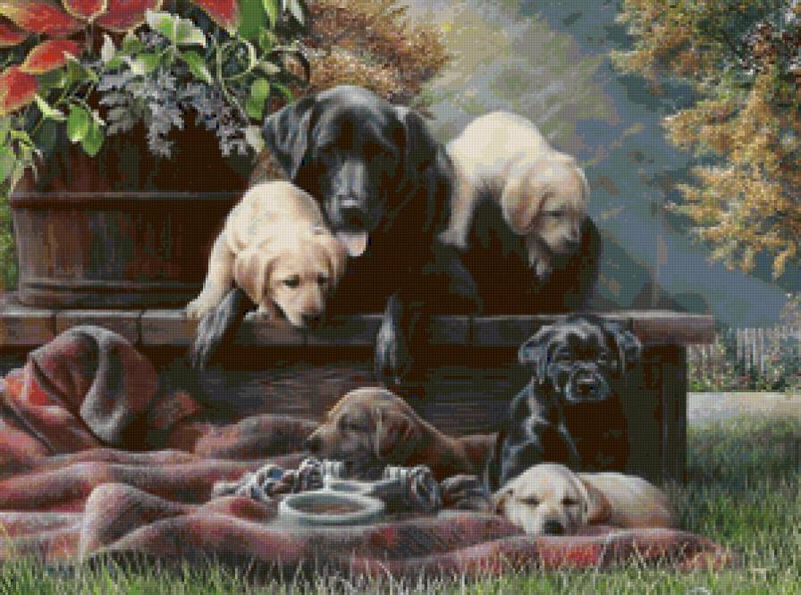 Серия СОБАКИ. Живопись. - собака, щенок, животные - предпросмотр