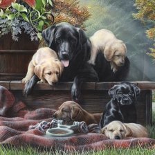 Схема вышивки «Серия СОБАКИ. Живопись.»