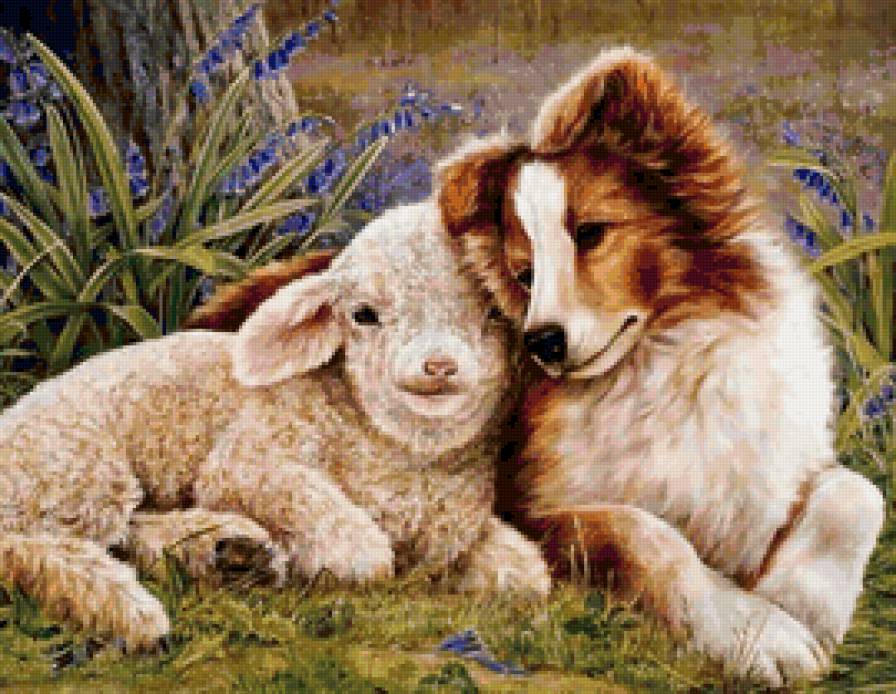 Серия СОБАКИ. Живопись. - животные, ягненок, собака - предпросмотр