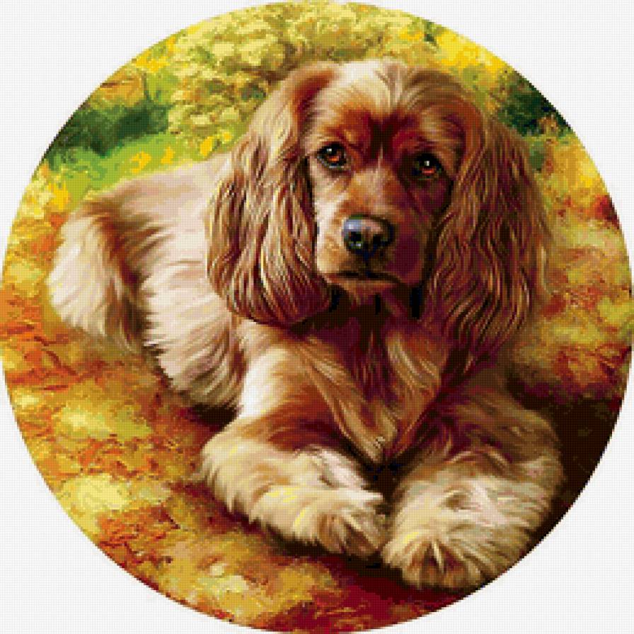 Серия СОБАКИ. Живопись. - собака, животные - предпросмотр