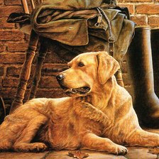 Схема вышивки «Серия СОБАКИ. Живопись.»