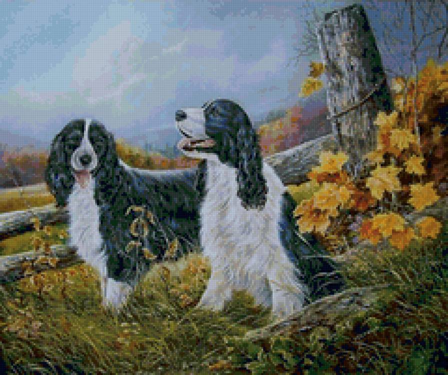 Серия СОБАКИ. Живопись. - собака, животные - предпросмотр