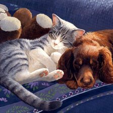 Серия СОБАКИ. Живопись.