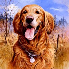 Серия СОБАКИ. Живопись.