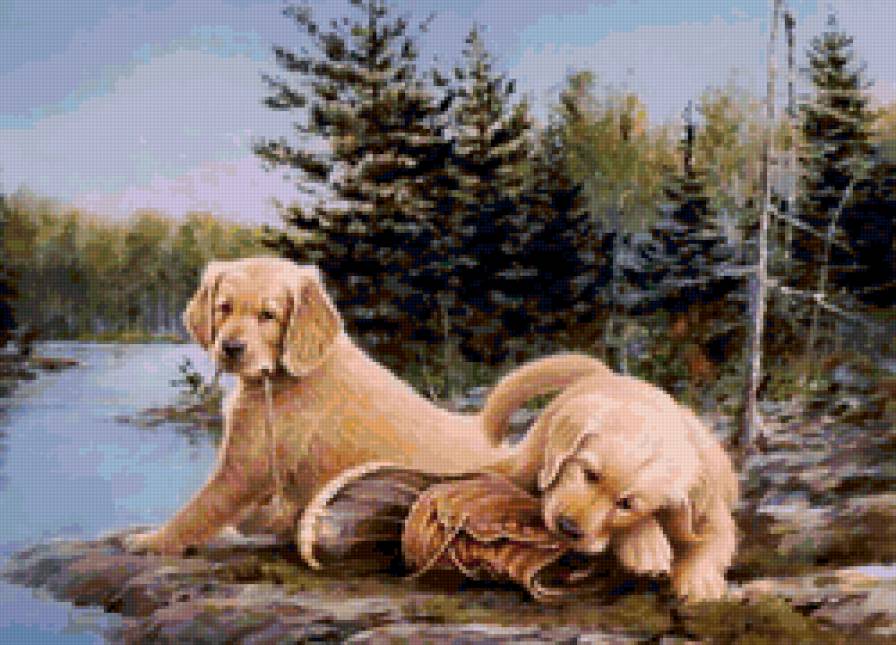 Серия СОБАКИ. Живопись. - животные, собака - предпросмотр