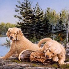 Схема вышивки «Серия СОБАКИ. Живопись.»