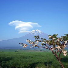 Схема вышивки «Пейзаж»