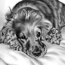 Схема вышивки «Загрустил»