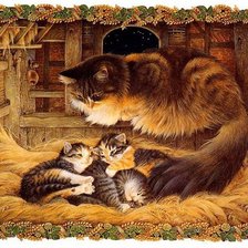 Схема вышивки «Серия КОШКИ. Живопись.»