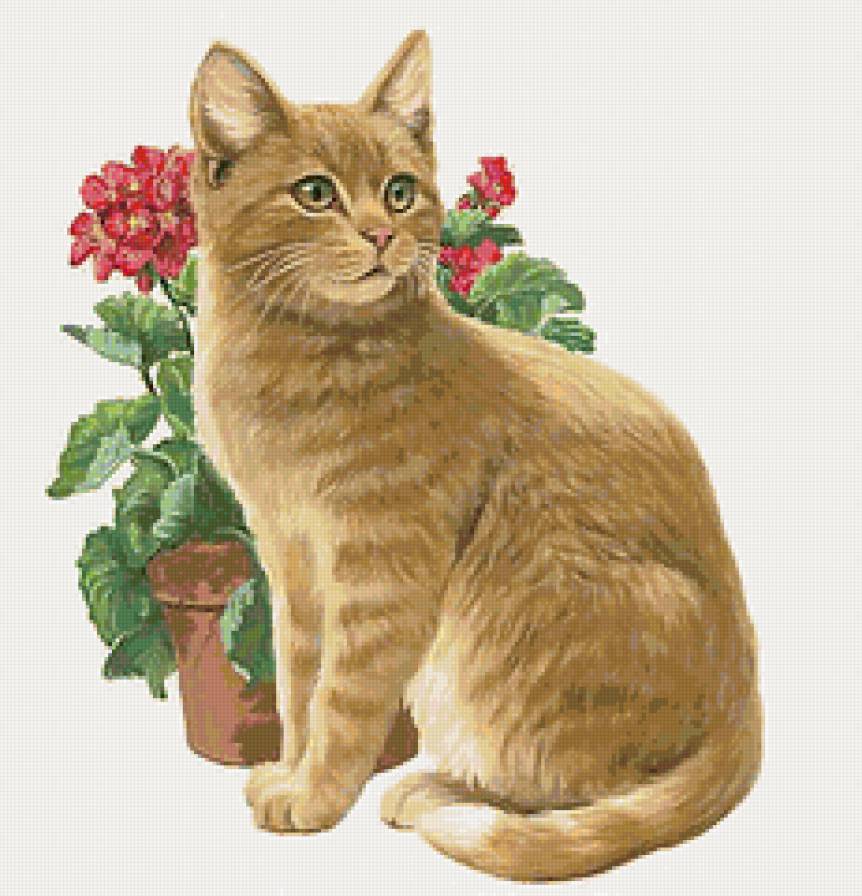 Серия КОШКИ. Живопись. - кошка, животные, цветы - предпросмотр