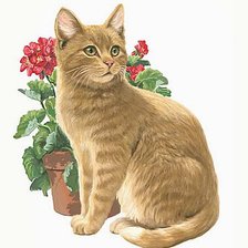 Схема вышивки «Серия КОШКИ. Живопись.»